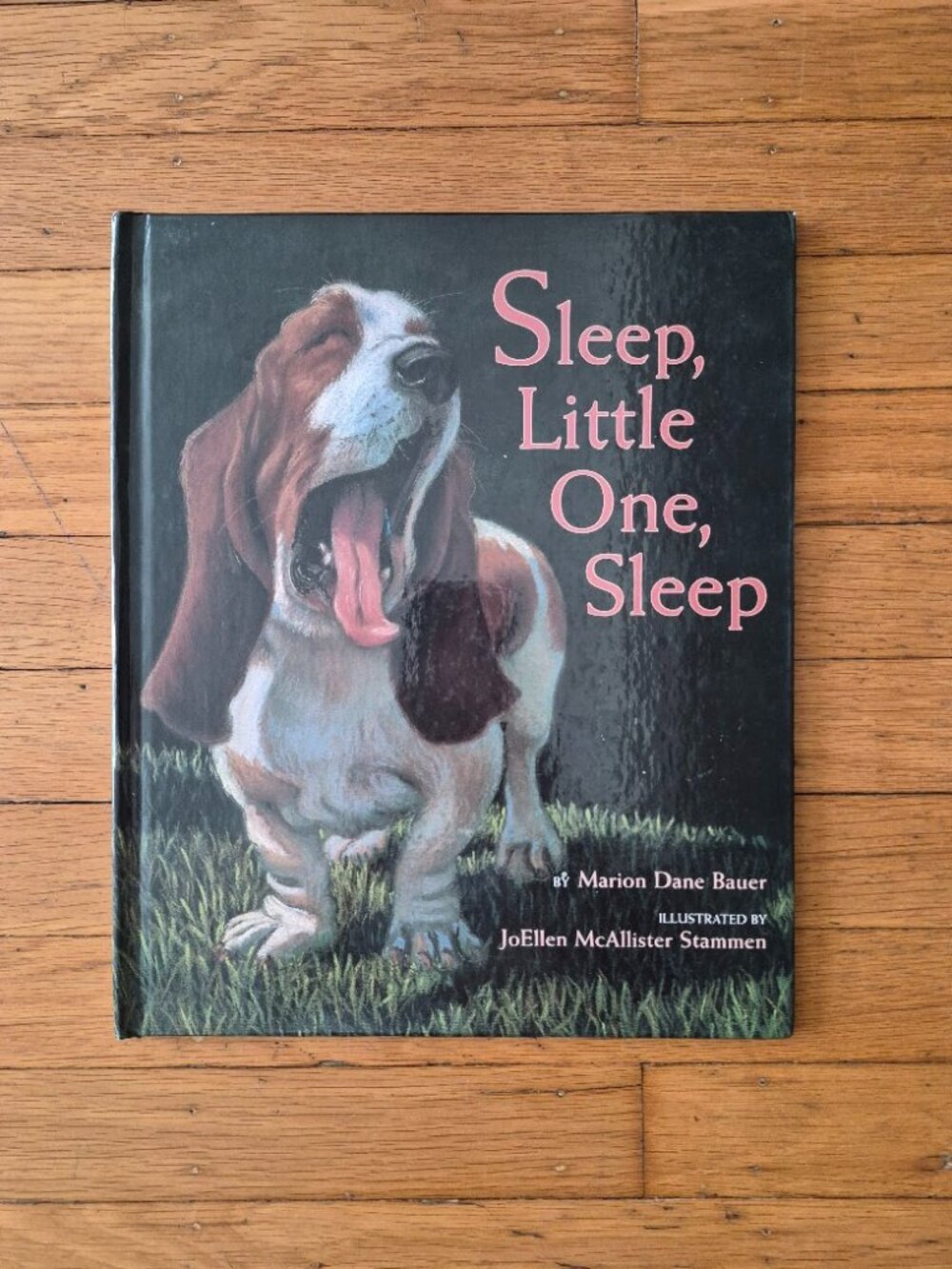 Sleep, Little One, Sleep